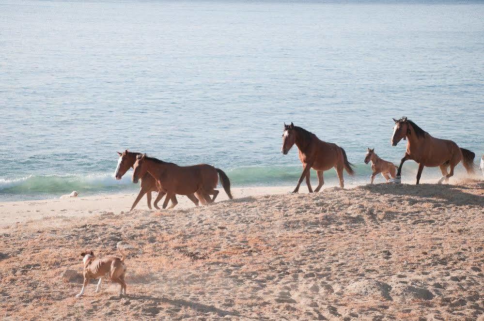 Vidasoul Boca de la Vinorama Exteriér fotografie